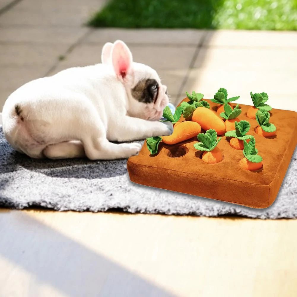 Evalow Carrotmatt™ - Hundespielzeug