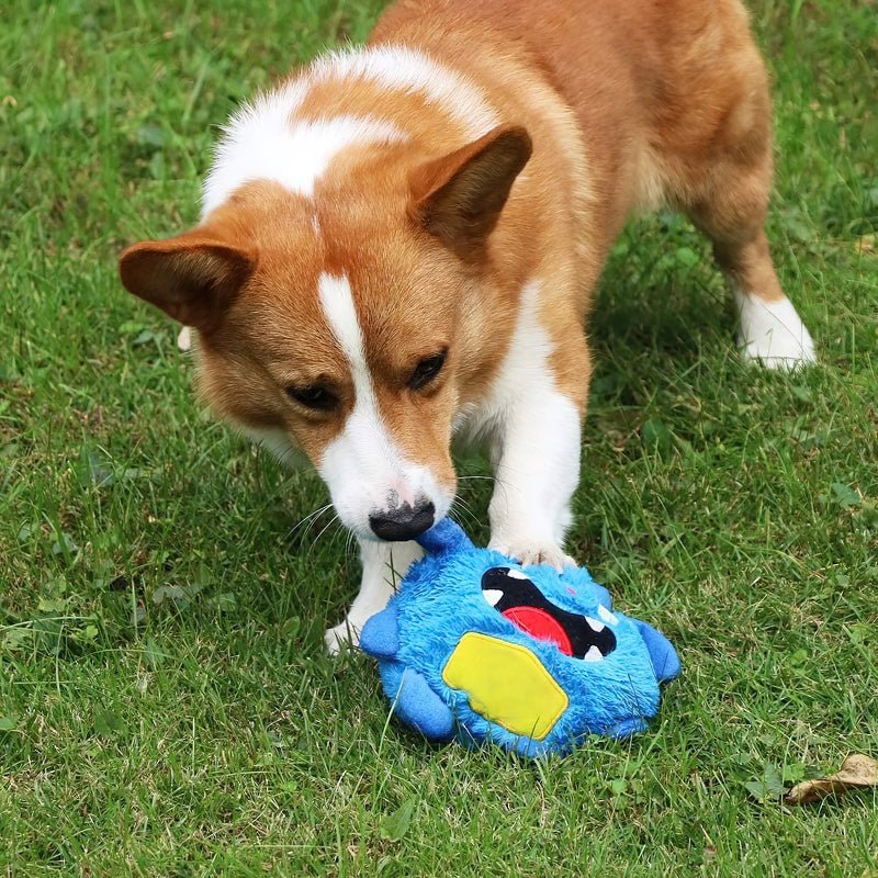 Evalow PetSpringer™ - Trainiere deinen Hund mit PetSpringer™ auf spielerische Weise